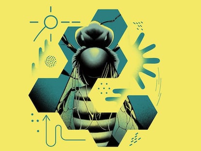 Las abejas y la guerra fría