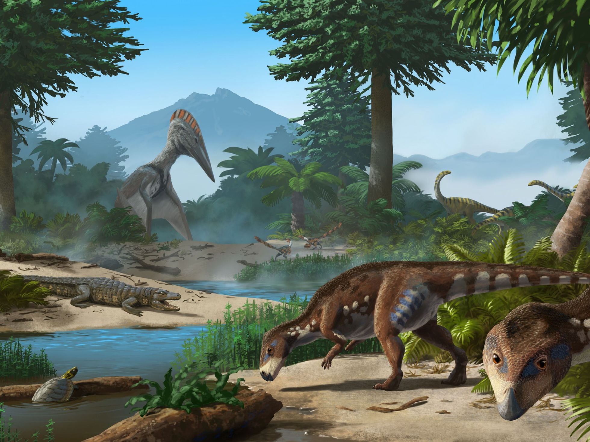 Transylvanosaurus: Hallan en Transilvania una nueva especie de dinosaurio  enano herbívoro que vivió hace 70 millones de años | Ciencia | EL PAÍS