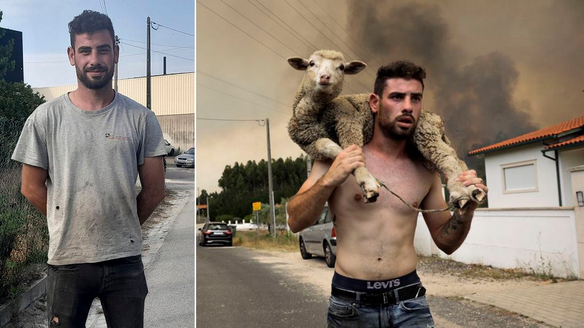 Um dos heróis desconhecidos dos incêndios em Portugal: “Não é justo ficar famoso por isso” |  Internacional