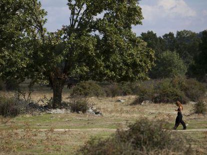 Terrenos en los que est&aacute; previsto construir el campo de golf.