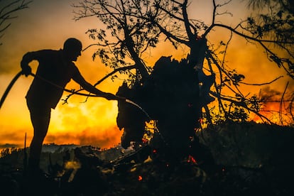 Vecinos de San Xusto, en la comarca ourensana de Valdeorras, apagan con cubos de agua un castaño milenario afectado por el fuego el pasado julio.
