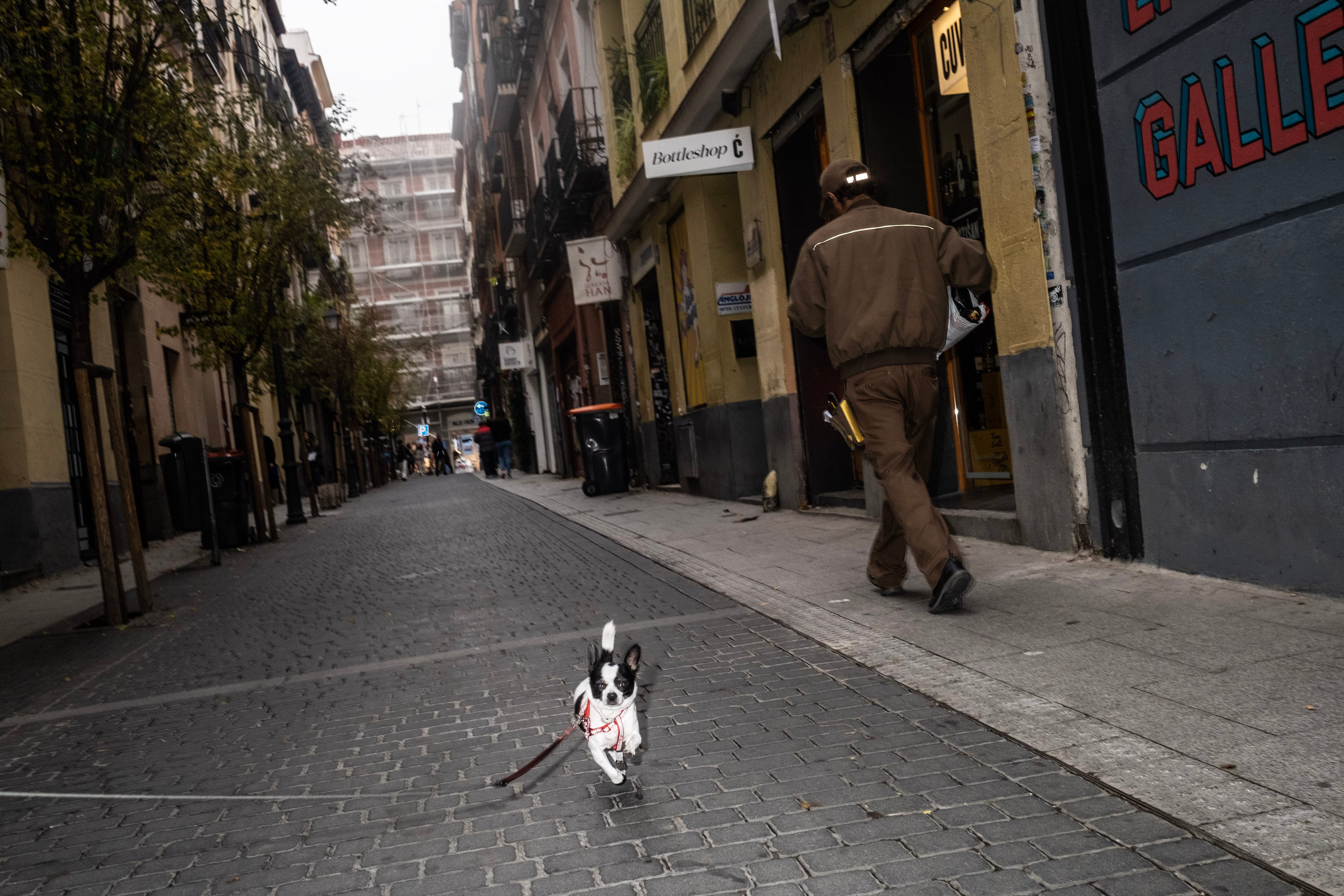 Óscar Domínguez, junto a su perra Dama, en el barrio de Chueca. 

