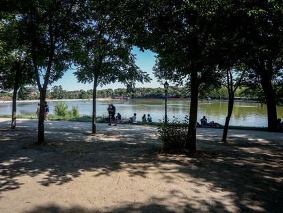 Varias personas sentadas a la orilla del lago de la Casa de Campo, en Madrid, a mediados de agosto.