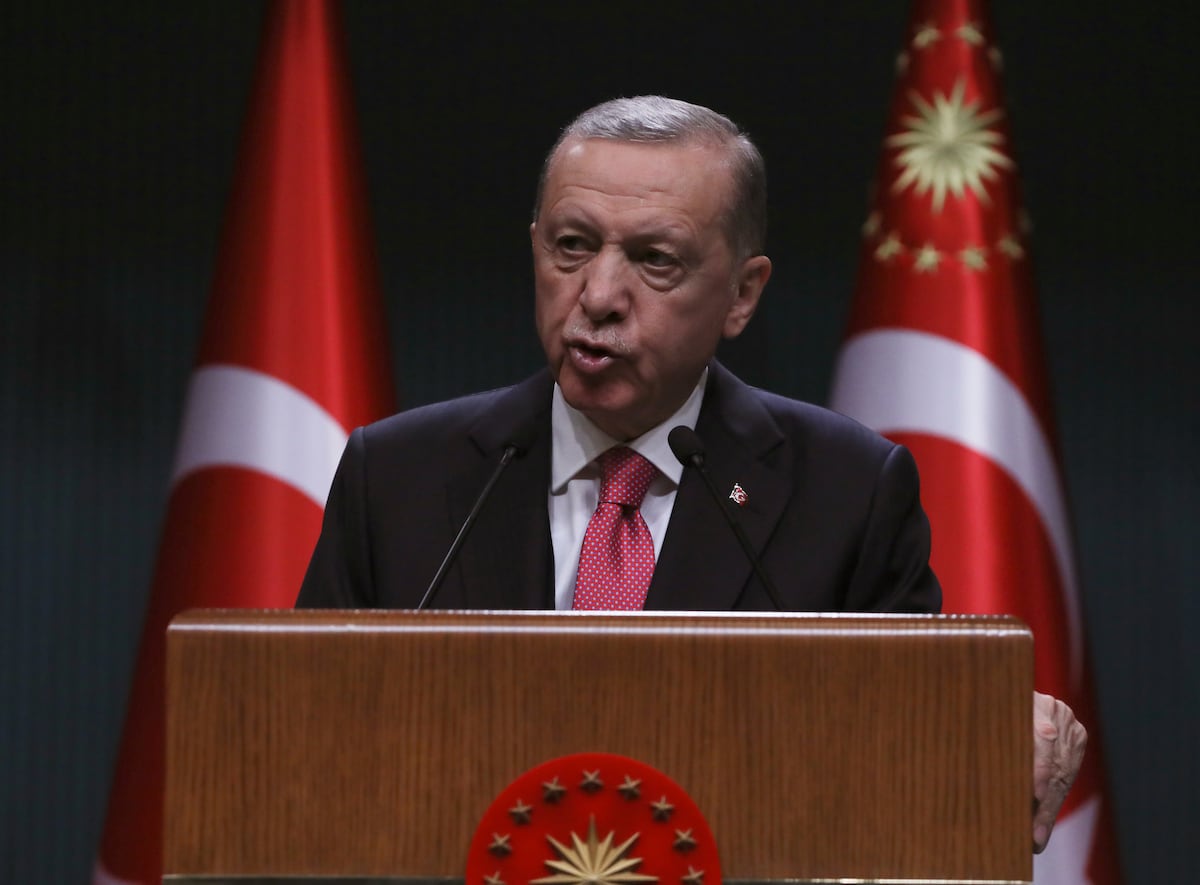 Erdogan prometió que vendría visto bueno cuando Finlandia se uniera a la OTAN |  Internacional