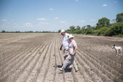 Griselda Ruiz, granjera de 60 años, y su marido pasean por los campos de soja.