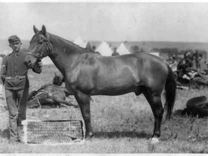 'Comanche' en una foto de su época como celebridad tras sobrevivir a la batalla de Little Bighorn.