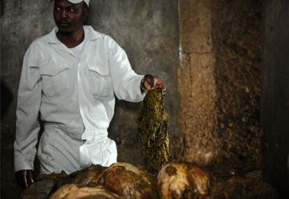 <p>Las bolsas de plástico, que tardan entre 500 a 1.000 años en  descomponerse, entran también en la cadena alimentaria de peces y otros animales. En los mataderos de Nairobi, se encontraron en los estómagos de algunas vacas destinadas al consumo humano hasta 20 sacos. "Esto es algo que no pasaba hace diez años, pero ahora ocurre casi diariamente ", ha asegurado el veterinario Mbuthi Kinyanjui.</p>
<p>En la imagen,un trabajador del matadero sostiene una masa enredada de residuos plásticos extraídos de las entrañas de un animal sacrificado el 23 de agosto de 2017.</p>