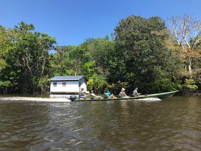 Turistas en una de las excursiones en canoa que organiza el ‘ecohotel’ Uakari por la reserva Mamirauá, en la Amazonia brasileña.