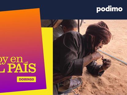 ‘Podcast’ | Meteoritos: del desierto del Sáhara a Christie’s