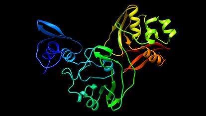 Estructura de una de las proteínas del coronavirus.
