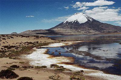 El volcán Parinacota se refleja en las aguas del lago Chungará, en el parque nacional de Lauca, reserva de la biosfera desde 1981.