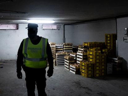Un guardia civil en un garaje donde se incautaron 1.316 kilos de setas.