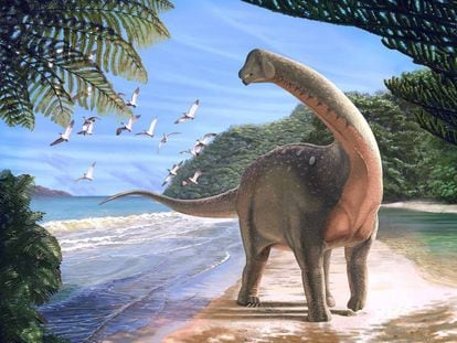 Reconstrucción de un titanosaurio que vivió hace unos 80 millones de años