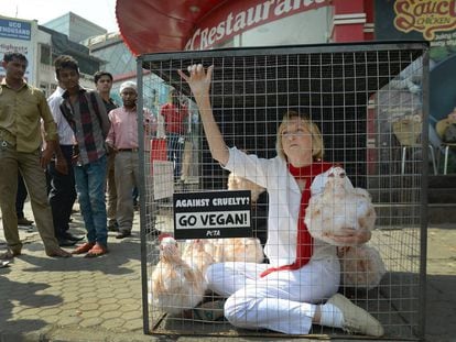 Newkirk en una protesta en Bombay en 2014, donde se encerró con varias gallinas y un cartel: “Contra la crueldad, hazte vegano”.