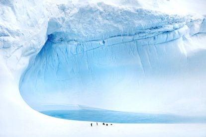 Hielo y pingüinos en la isla de Rey Jorge, en la Antártida.