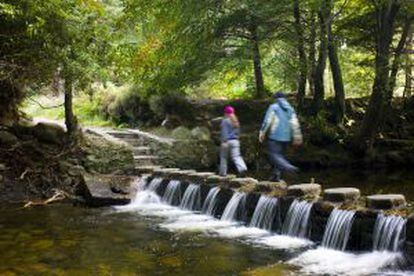 El bosque de Tollymore, en Irlanda del Norte, donde arranca 'Juego de Tronos'.