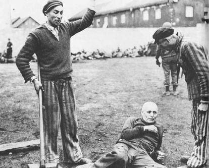 Prisioneros liberados en Dachau se burlan de un antiguo guarda, que ser&iacute;a asesinado.