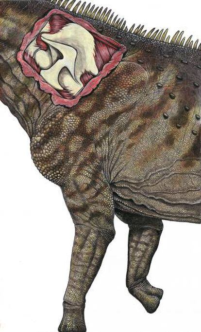 El dibujo ilustra la reconstrucción de la vértebra del nuevo dinosaurio