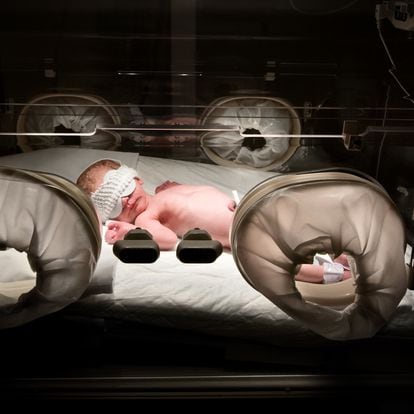 Un recién nacido en la incubadora de un hospital.