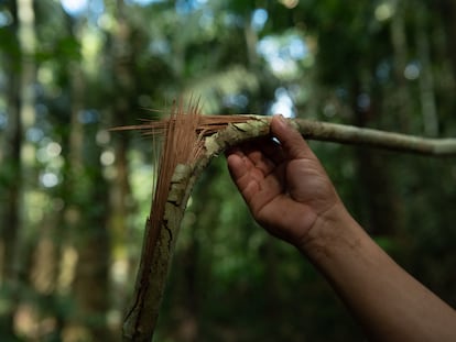 Cómo viven los últimos pueblos aislados de la Tierra | Planeta Futuro ...