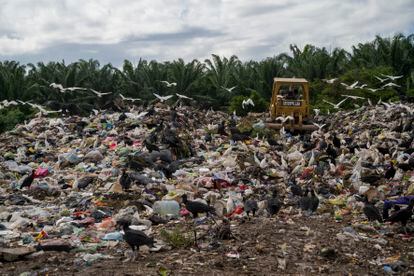 La comunidad es conocida por un gigantesco vertedero de basura que se encuentra a escasos metros de las viviendas. Varios camiones procedentes de San Pedro Sula llegan diariamente para descargar toneladas de basura que se han convertido a su vez en el medio de vida de muchas mujeres de la zona. 