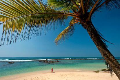 Desde el espacio, Sri Lanka aparece rodeada por una definida línea blanca: son sus playas. De cerca se comprueba que la mayoría son idílicas. Eso sí, hay variedad: largas y con partículas doradas, delicadas y de suave arena blanca, ventosas y con bravo oleaje, o kilométricas y, prácticamente, vírgenes. Mientras algunas respiran un ambiente muy pausado otras se entregan a la fiesta.   Entre las mejores figuran la playa de Thalpe (en la foto), plácida, tranquila y con algunas pensiones cómodas; Marakolliya, maravillosa, aunque el baño no es siempre seguro; el largo arenal de Rekawa, donde tortugas y bañistas buscan soledad; la bahía de Arugam, un clásico para surfistas; las casi vírgenes playas de Uppuvli y Nilaveli y, para los más aventureros y soñadores, la aislada Batticaloa.
