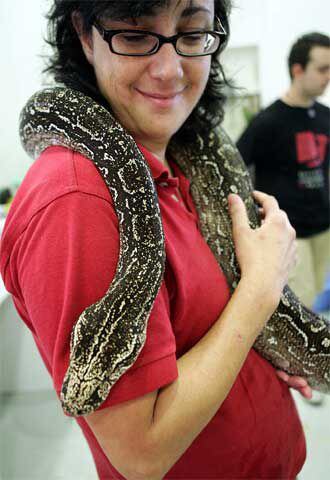 Animales salvajes acogidos en Exotarium, centro de conservación de especies en peligro.