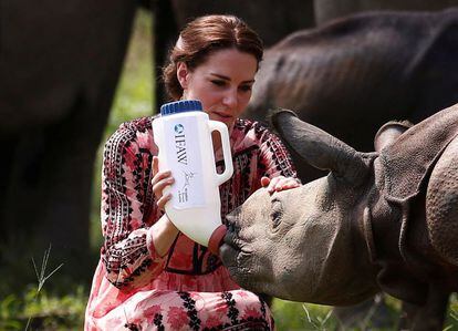 La duquesa de Cambridge, Kate Middleton, alimenta un bebé rinoceronte en la reserva de Kaziranga, India.