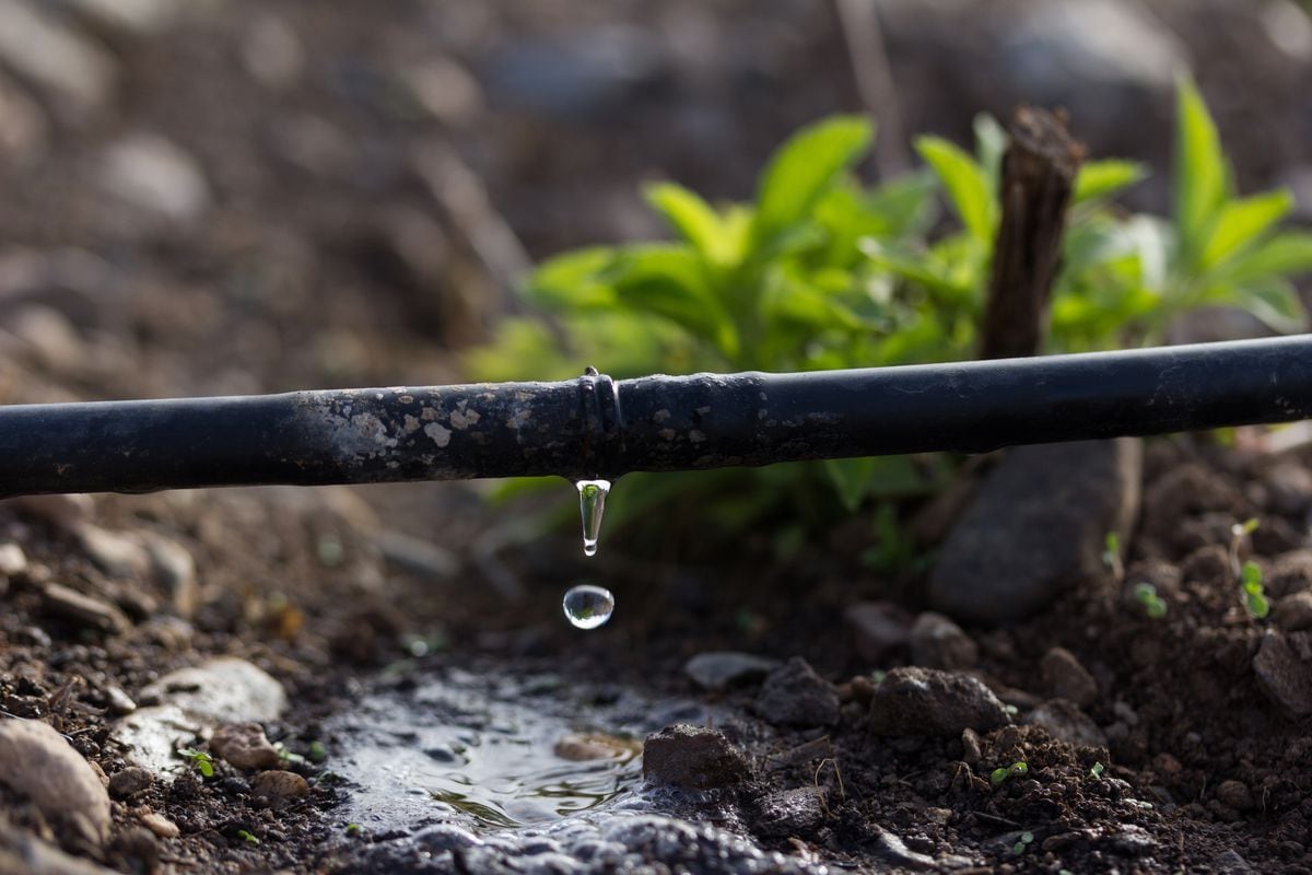 Inversiones contra el desperdicio de agua a través de los fondos europeos 