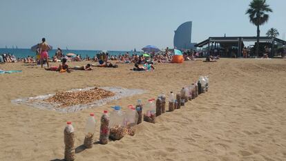Recollida de burilles a la Barceloneta.