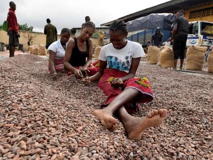Un grupo de mujeres selecciona granos de cacao, el pasado 3 de julio en Abiyán (Costa de Marfil).