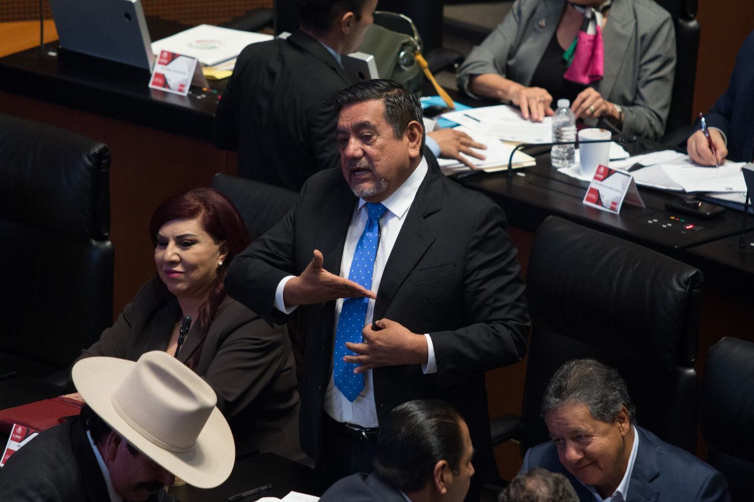 Salgado Macedonio, durante una sesión en el Senado.