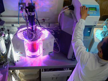 Un investigador del Grupo de Biotecnología de la Universidad de Antioquia aplica iluminación LED a un biorreactor con cacao. 
 