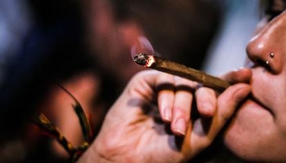 El consumo recreativo de marihuana ha crecido más que el de cualquier otra droga ilegal durante las últimas dos décadas