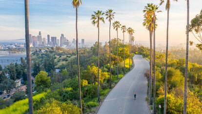 Una carretera jalonada de palmeras hacia el centro de Los Ángeles (California, EE UU).