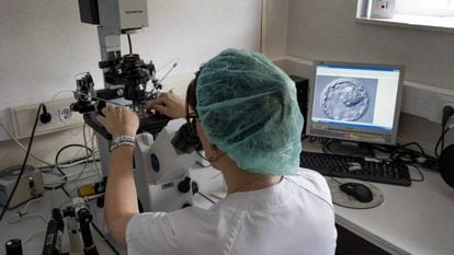 Una doctora observa una muestra de embrión en el Hospital Virgen del Rocío en Sevilla.