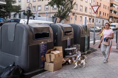 Una mujer y sus perros pasan ante un contenedor con basura y cajas de cartón alrededor, el sábado en el barrio de Pueblo Nuevo (este).