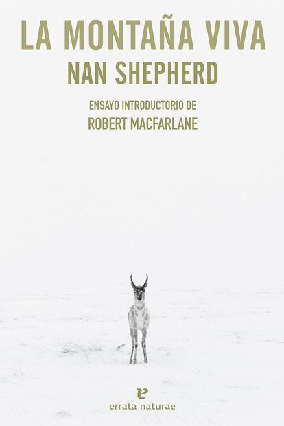 ‘La montaña viva’. Nan Shepherd (Errata Naturae).

Nan Shepherd ejerció como profesora de literatura inglesa en Aberdeen hasta jubilarse en 1956, y sus fuertes principios feministas, muy adelantados a su tiempo, orientaron siempre su enseñanza. De hecho, es conocida por haber impartido múltiples conferencias respecto al asunto de la igualdad de la mujer, que la llevaron a ser la primera mujer en aparecer en el papel moneda escocés. El valor extra del libro radica en tratar la montaña, un asunto recurrente en la literatura masculina, desde el punto de vista femenino. Un nuevo enfoque más contemplativo, más lírico, carente del sentido de alcanzar la cumbre o llegar el primero que hasta ahora caracterizaba los textos sobre el tema escritos por y para hombres, que la convirtieron en una pionera en la literatura de montaña.