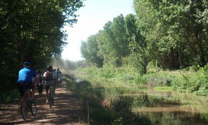 Ciclistas junto al Canal de Castilla.