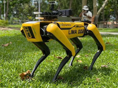 El robot 'Spot', de Boston Dynamics, en un parque de Singapur.