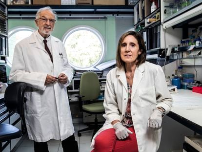 Los investigadores españoles Luis Enjuanes e Isabel Sola, en su laboratorio de la Universidad Autónoma, en junio del año pasado.