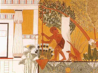 Escena con un jardinero en la Tumba de Ipuy en Deir-el-Medina, en Tebas, incluida en el libro 'El paraíso a pinceladas'.