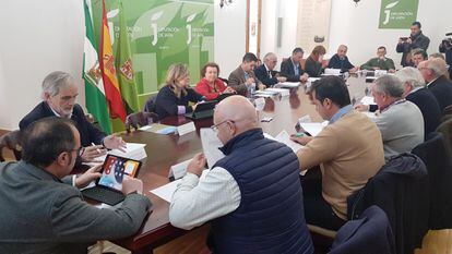 Reunión de la comisión institucional de la candidatura de Paisajes del Olivar de Andalucía en Jaén.