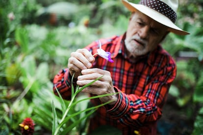 Angulo revisa sus orquídeas afuera de su casa, en Choachí.