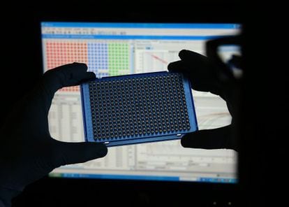 Un investigador sostiene una placa de cultivo celular