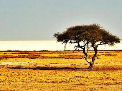 Namibia, con apenas dos millones de habitantes y 800.000 kilómetros cuadrados de superficie, es un puro desierto. Sin embargo es uno de los destinos de moda. Y no hay viajero que no vuelva encandilado. ¿Por qué? En este vídeo trato de explicarlo