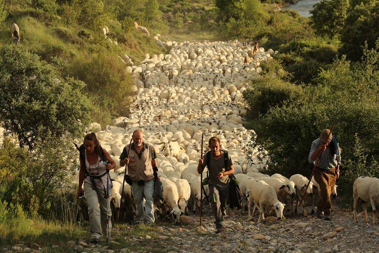 La primera trashumancia en los Pirineos hace 7.500 años en el Neolítico. [Historia] WXDUTCUYLBGLNOCAAWDS7LIG3U