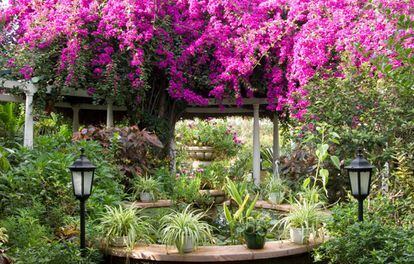 El jardínde Sitio Litre, en Puerto de la Cruz (Tenerife). 