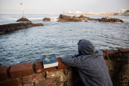 Un niño mira el mar, unos peñascos y acaso medita sobre su vida y su futuro. Al lado se ve un libro que ayuda a reconocer las más de 1800 especies de aves del Perú.