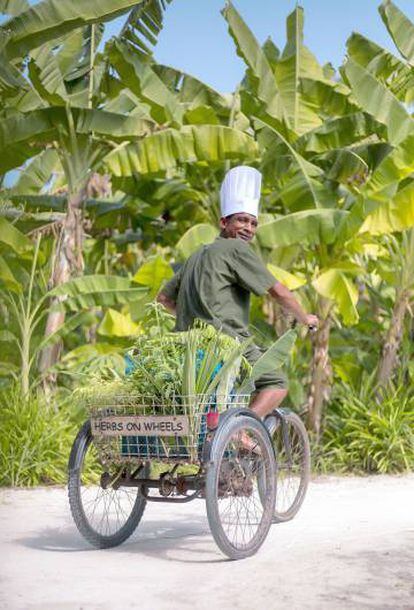 Un trabajador del complejo Six Senses, que cuenta con huerto orgánico en el atolón de Laamu.